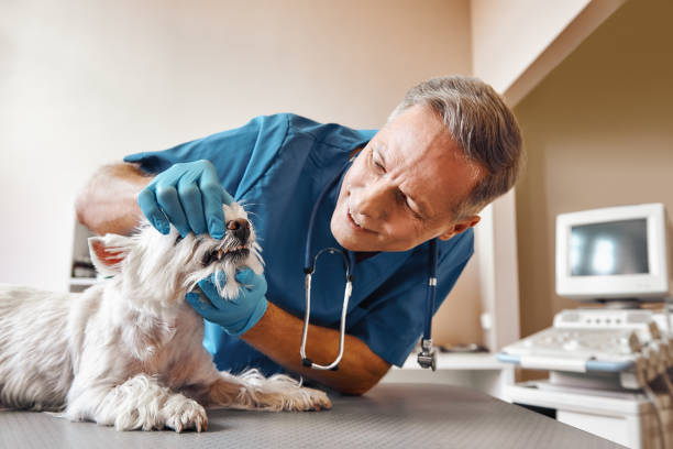 Best Weekend Emergency Dentist in Hialeah, FL